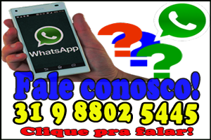 Peça pelo Whatsapp 31 98802 5445
